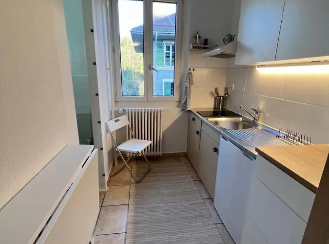 Appartement Lilas Margarita Lausanne